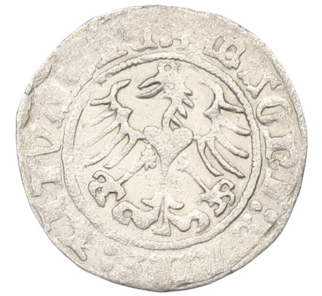 Монета 1/2 гроша 1515 года Литва (Артикул: K7-0016) — Фото №2