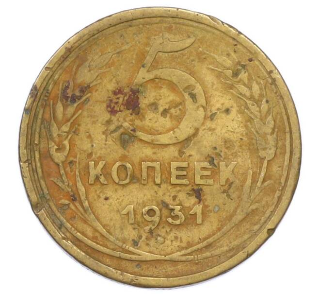 Монета 5 копеек 1931 года (Артикул: K12-75308) — Фото №1
