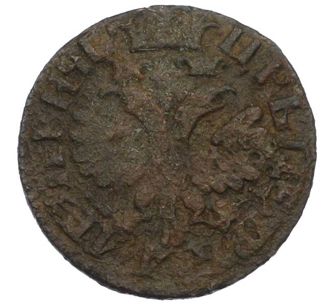 Монета Денга 1704 года (Артикул: K12-75500) — Фото №2