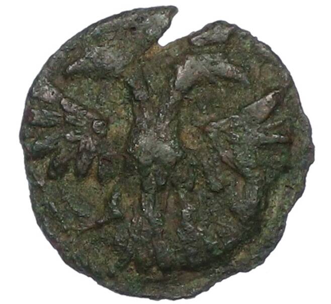 Монета Полушка «ВРП» 1719 года (Год цифрами) (Артикул: K12-75520) — Фото №2