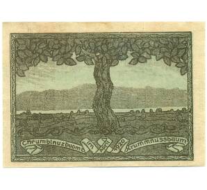 20 геллеров 1920 года Австрия — Крумнусбаум (Нотгельд) — Фото №2