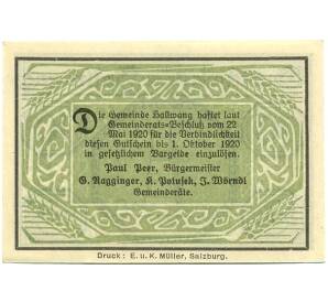 10 геллеров 1920 года Австрия — Хальванг (Нотгельд) — Фото №2