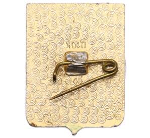 Значок «Герб города Судогда» — Фото №2