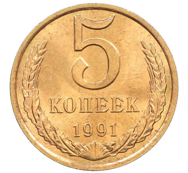 Монета 5 копеек 1991 года Л (Артикул: K8-0787) — Фото №1