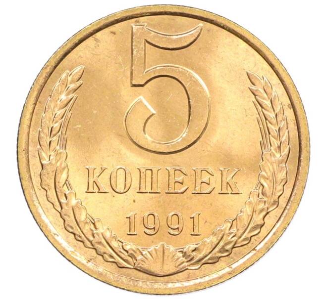 Монета 5 копеек 1991 года Л (Артикул: K8-0796) — Фото №1