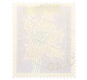 Почтовая марка 40 пфеннигов 1963 года Западная Германия (ФРГ) «Выставка флоры и филателии в Гамбурге — Морской остролист (Eryngium maritimum)»