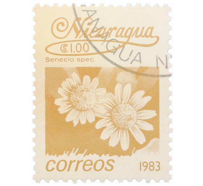 Почтовая марка 1 кордоба 1983 года Никарагуа «Крестовник обыкновенный» (Артикул: T11-34619) — Фото №1