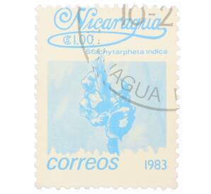 Почтовая марка 1 кордоба 1983 года Никарагуа «Стахитарфета индийская»