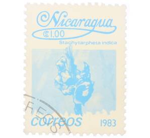 Почтовая марка 1 кордоба 1983 года Никарагуа «Стахитарфета индийская»