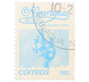 Почтовая марка 1 кордоба 1983 года Никарагуа «Стахитарфета индийская»