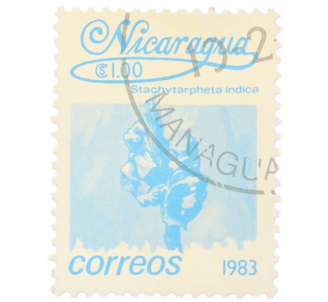 Почтовая марка 1 кордоба 1983 года Никарагуа «Стахитарфета индийская» (Артикул: T11-34633) — Фото №1