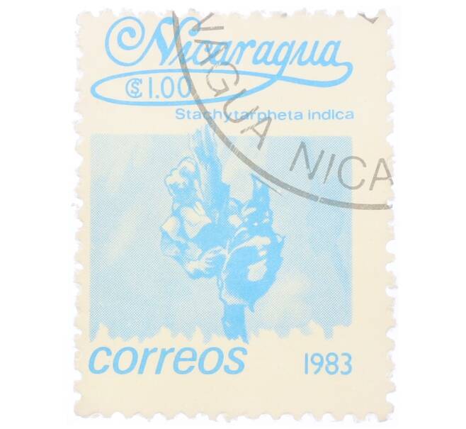 Почтовая марка 1 кордоба 1983 года Никарагуа «Стахитарфета индийская» (Артикул: T11-34635) — Фото №1