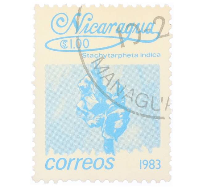 Почтовая марка 1 кордоба 1983 года Никарагуа «Стахитарфета индийская» (Артикул: T11-34636) — Фото №1