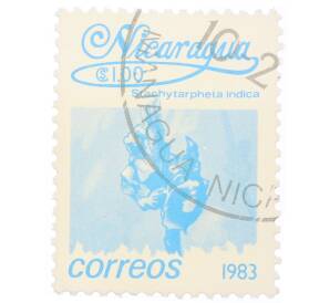 Почтовая марка 1 кордоба 1983 года Никарагуа «Стахитарфета индийская»
