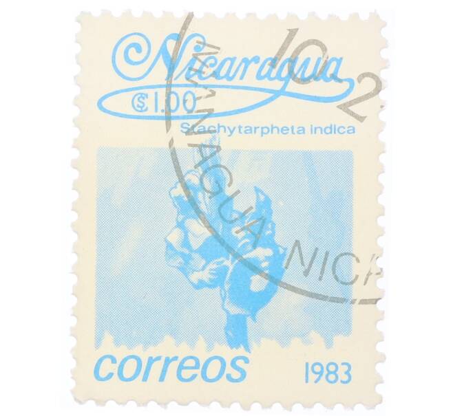 Почтовая марка 1 кордоба 1983 года Никарагуа «Стахитарфета индийская» (Артикул: T11-34677) — Фото №1