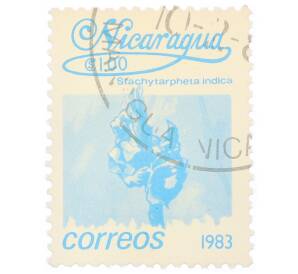 Почтовая марка 1 кордоба 1983 года Никарагуа «Стахитарфета индийская»