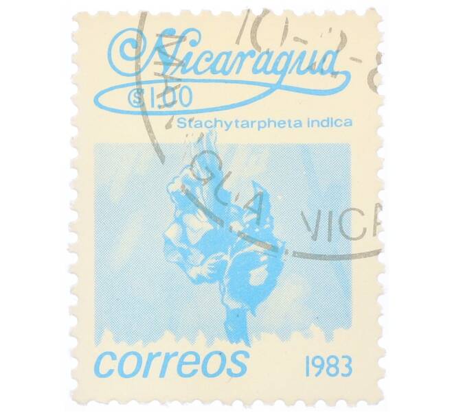 Почтовая марка 1 кордоба 1983 года Никарагуа «Стахитарфета индийская» (Артикул: T11-34678) — Фото №1