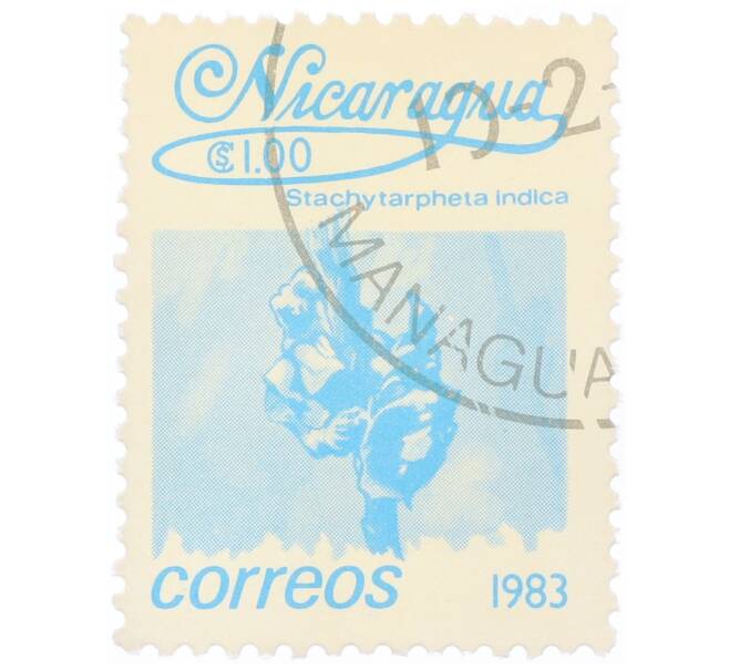 Почтовая марка 1 кордоба 1983 года Никарагуа «Стахитарфета индийская» (Артикул: T11-34679) — Фото №1