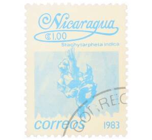 Почтовая марка 1 кордоба 1983 года Никарагуа «Стахитарфета индийская»