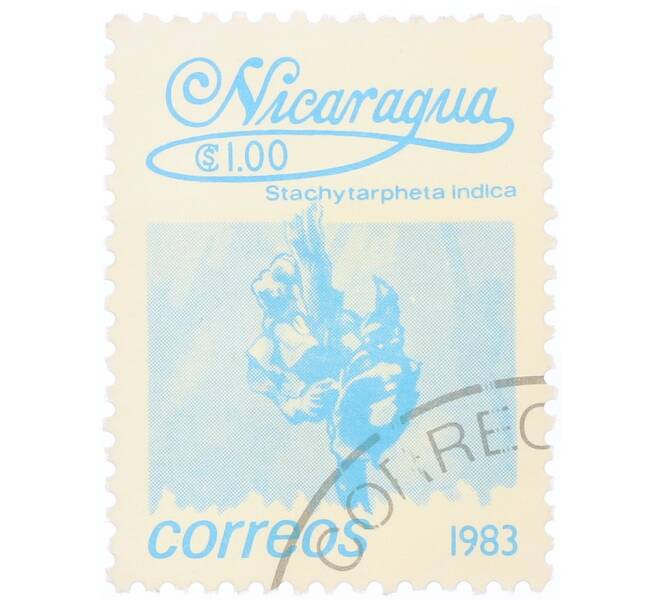 Почтовая марка 1 кордоба 1983 года Никарагуа «Стахитарфета индийская» (Артикул: T11-34680) — Фото №1