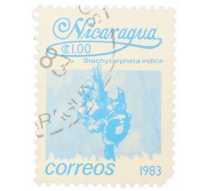 Почтовая марка 1 кордоба 1983 года Никарагуа «Стахитарфета индийская»