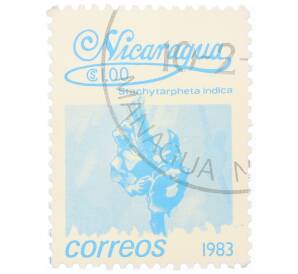 Почтовая марка 1 кордоба 1983 года Никарагуа «Стахитарфета индийская»