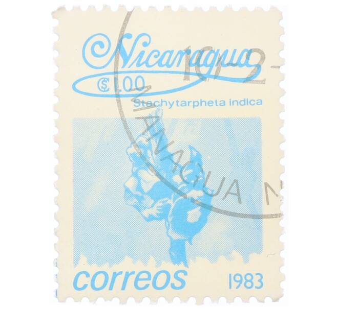 Почтовая марка 1 кордоба 1983 года Никарагуа «Стахитарфета индийская» (Артикул: T11-34682) — Фото №1
