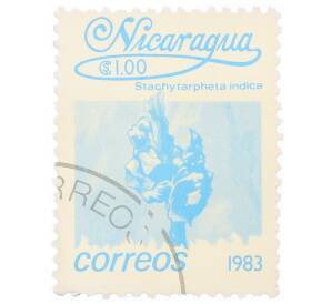 Почтовая марка 1 кордоба 1983 года Никарагуа «Стахитарфета индийская»