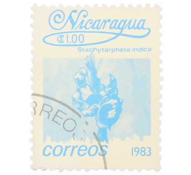 Почтовая марка 1 кордоба 1983 года Никарагуа «Стахитарфета индийская» (Артикул: T11-34684) — Фото №1