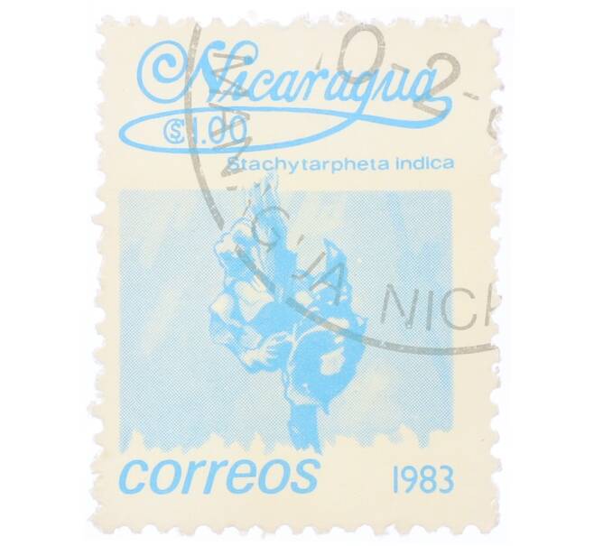 Почтовая марка 1 кордоба 1983 года Никарагуа «Стахитарфета индийская» (Артикул: T11-34685) — Фото №1