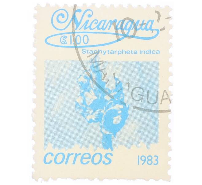 Почтовая марка 1 кордоба 1983 года Никарагуа «Стахитарфета индийская» (Артикул: T11-34687) — Фото №1