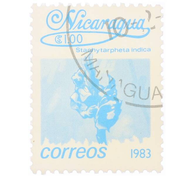 Почтовая марка 1 кордоба 1983 года Никарагуа «Стахитарфета индийская» (Артикул: T11-34688) — Фото №1