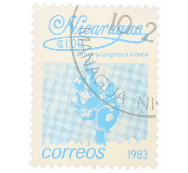 Почтовая марка 1 кордоба 1983 года Никарагуа «Стахитарфета индийская» (Артикул: T11-34689) — Фото №1