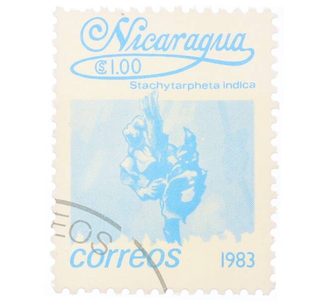Почтовая марка 1 кордоба 1983 года Никарагуа «Стахитарфета индийская» (Артикул: T11-34691) — Фото №1