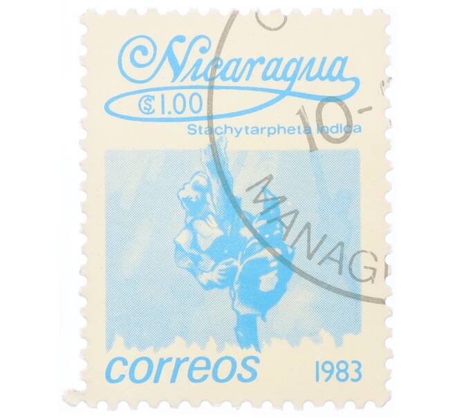 Почтовая марка 1 кордоба 1983 года Никарагуа «Стахитарфета индийская» (Артикул: T11-34692) — Фото №1