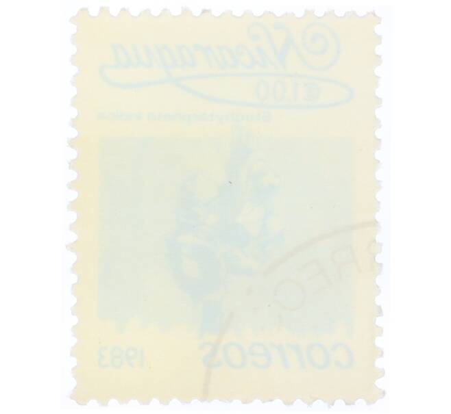 Почтовая марка 1 кордоба 1983 года Никарагуа «Стахитарфета индийская» (Артикул: T11-34693) — Фото №2