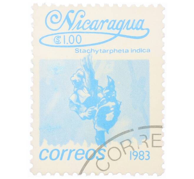 Почтовая марка 1 кордоба 1983 года Никарагуа «Стахитарфета индийская» (Артикул: T11-34694) — Фото №1