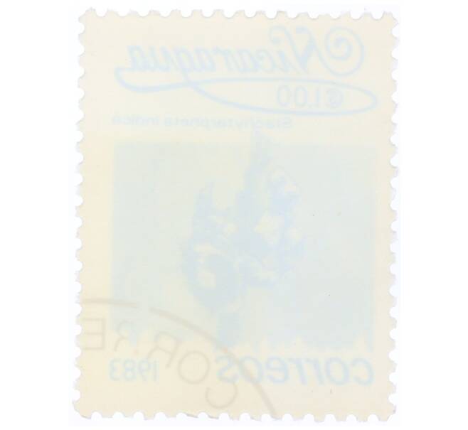 Почтовая марка 1 кордоба 1983 года Никарагуа «Стахитарфета индийская» (Артикул: T11-34694) — Фото №2