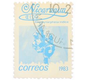 Почтовая марка 1 кордоба 1983 года Никарагуа «Стахитарфета индийская»