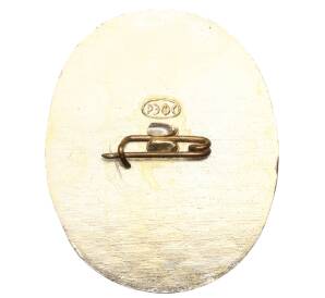 Значок «Герб города Волгоград» — Фото №2