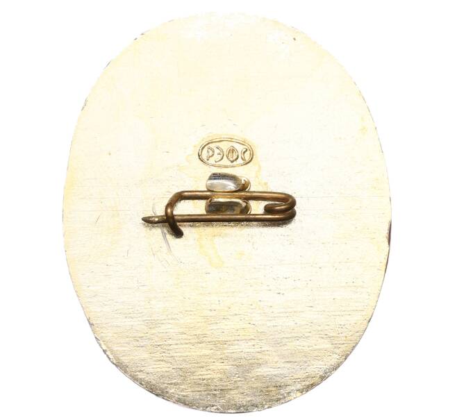 Значок «Герб города Волгоград» (Артикул: K12-75889) — Фото №2