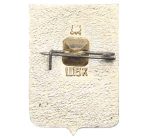 Значок «Герб города Новосибирск» — Фото №2