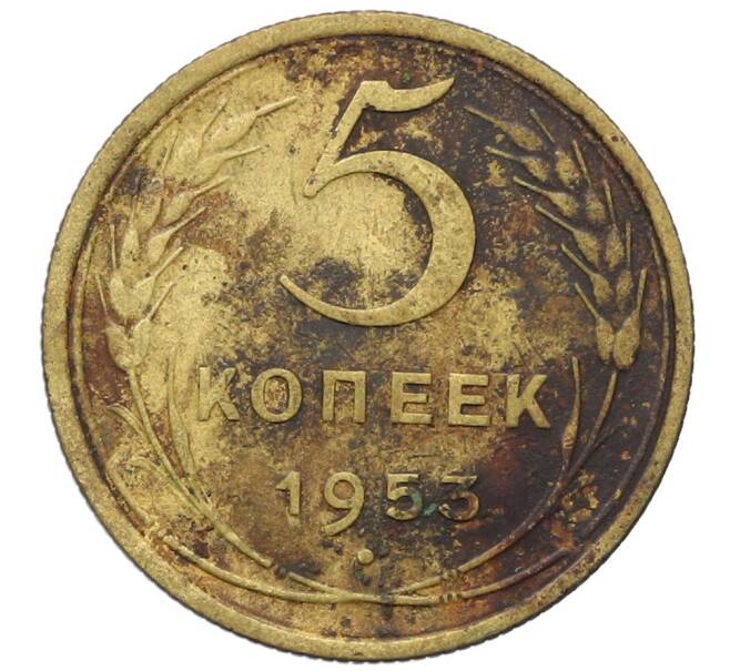 Монета 5 копеек 1953 года (Артикул: T11-35021) — Фото №1