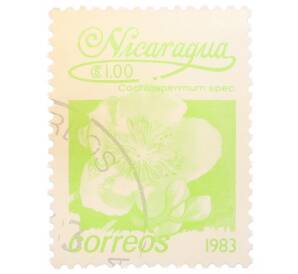 Почтовая марка 1 кордоба 1983 года Никарагуа «Кохлоспермум» — Фото №1
