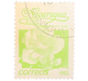 Почтовая марка 1 кордоба 1983 года Никарагуа «Кохлоспермум» — Фото №1