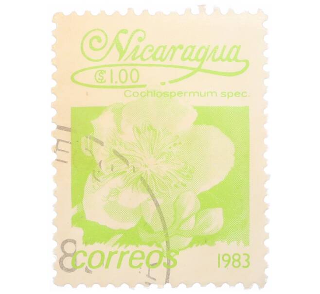 Почтовая марка 1 кордоба 1983 года Никарагуа «Кохлоспермум» (Артикул: T11-35160) — Фото №1