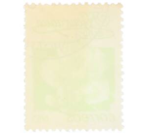 Почтовая марка 1 кордоба 1983 года Никарагуа «Кохлоспермум» — Фото №2