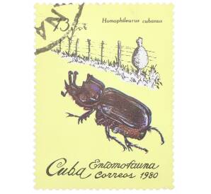 Почтовая марка 13 сентаво 1980 года Куба «Гомофилерус кубинский» — Фото №1