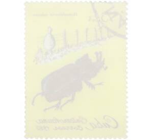 Почтовая марка 13 сентаво 1980 года Куба «Гомофилерус кубинский» — Фото №2