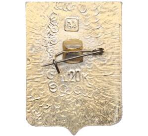 Значок «Герб поселка Красный» — Фото №2